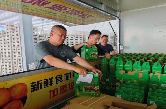 村落振兴工作动态（第169期）