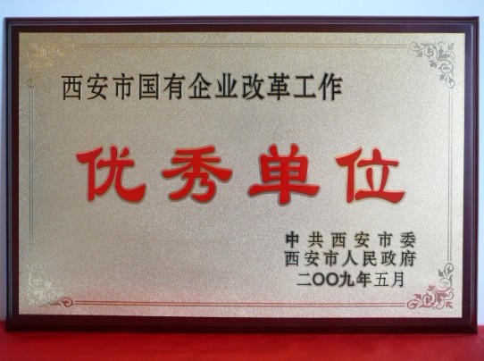 2009年5月，被西安市委、市当驹炖为西安市国企业鼎新工作优良单元