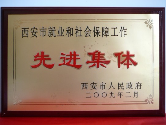 2009年2月，被西安市当驹炖为西安市就业和社会保险工作先进集体